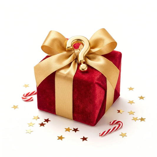 Mystery Christmas Gift Box - surprise holiday gift